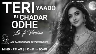 Teri Yaadon Ki Chadar Odhe  Relaxing Lo Fi Version        Hindi Lofi 