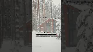 Download Lagu Tu jo mila, #tujomila #aashiyanamera #pritam #lyricsvideo #shorts  #whatsappstatus #2linesstatus MP3