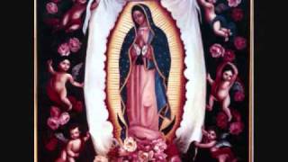 MAÑANITAS GUADALUPANAS. JILGUERILLAS.wmv chords