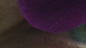 Gintautė Skvernytė | The Constant Glitch