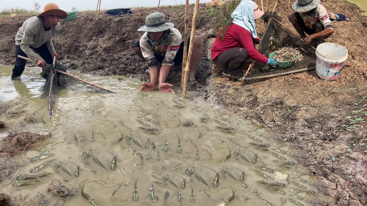 ដល់ក កញ្ចុះច្រើនពេកហើយ