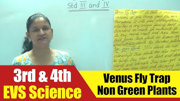 3rd & 4th EVS Science | Venus Fly Trap - Non Green Plants | CBSE Science Syllabus