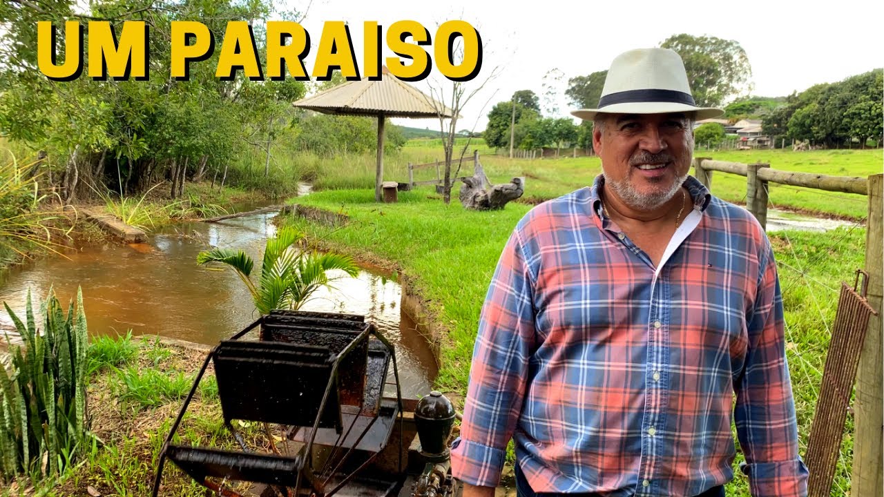 DA CIDADE PRO SÍTIO - FOI A MELHOR COISA QUE EU FIZ