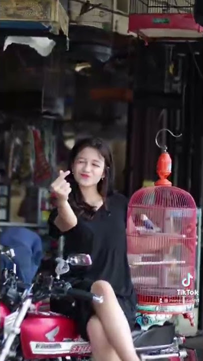 Cewek cantik | Kicau Mania | Cewek Idaman
