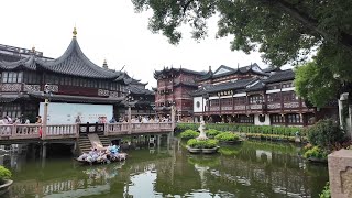 Walking Through Old Shanghai 🏮 A Journey Back in Time