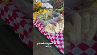 Aiken county farmers market #aiken  #aikensc #youtubeshorts  #socialmedia  #yolo  #
