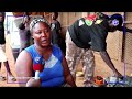 YAOUNDÉ EVICTION ALERT: OUTRAGE AS MVOG-BETSI FAMILIES FACE IMMINENT EXPULSION!