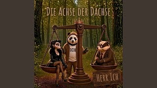 Herr Dachs