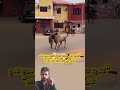 أحيانا يكون الوجع المفاجئ هو الثمن الزهيد الذي تدفعه مقابل عمر جديد  