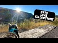 The Perfect 24 Hours in Yellowstone National Park | Van Life