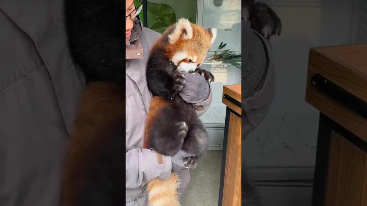 #redpanda