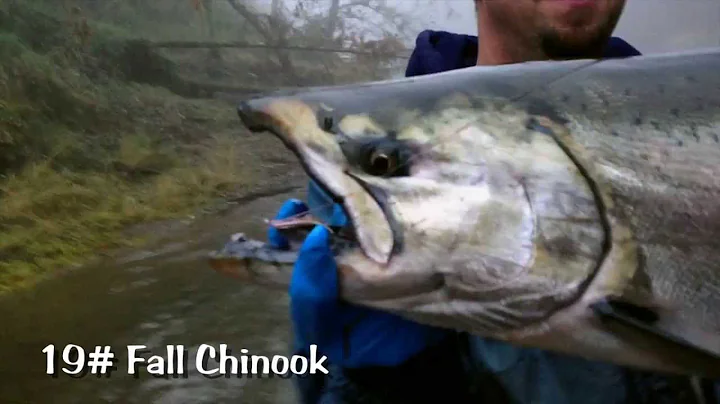 Slammin the Salmon with Scott Amerman