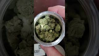 Organic Remedies Monkey Glu Indica Quarter 25% THC One of my favs