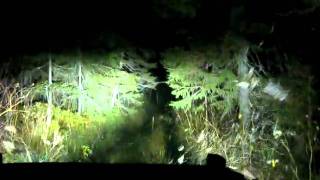 boden 20101009 009.avi
