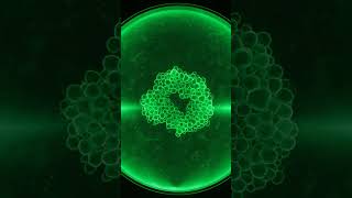 living code ⚡ awakening bacterial web #shorts #asmr #bioart #microbiology #labvisual