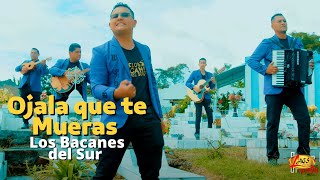 Los Bacanes Del Sur - Ojala y Te Mueras (Video Oficial) / Corridos Prohibidos