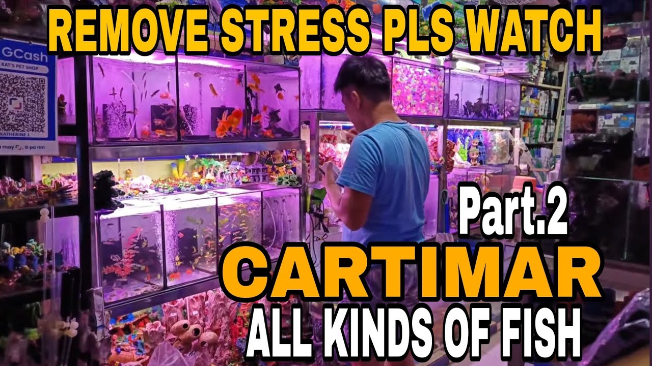 CARTIMAR PET CENTER | WALK TOUR | SCENES | PASAY CITY | PHILIPPINES🇵🇭[4K]