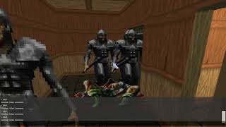Day 1364 - Killing Every NPC Until Elder Scrolls 6 is Released