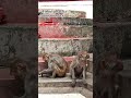 tirkut pahar ka funny monkey ❤️❤️ #trending #shorts #video 2026