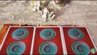 フローズンマリーの神託（笑）TV_144 (今週の三択✨