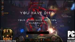 Epic glitch in Diablo 3!