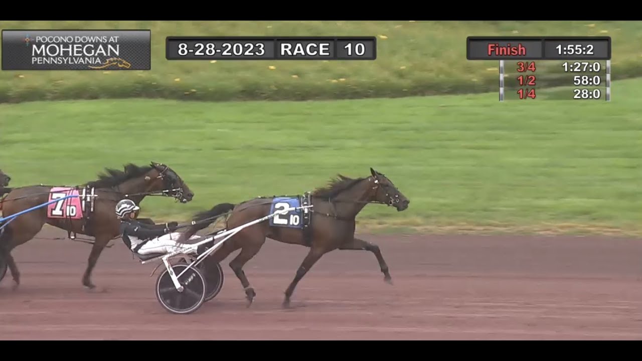 3 year old flying drumsticks muscle hill sarah svanstedt wins in 1 