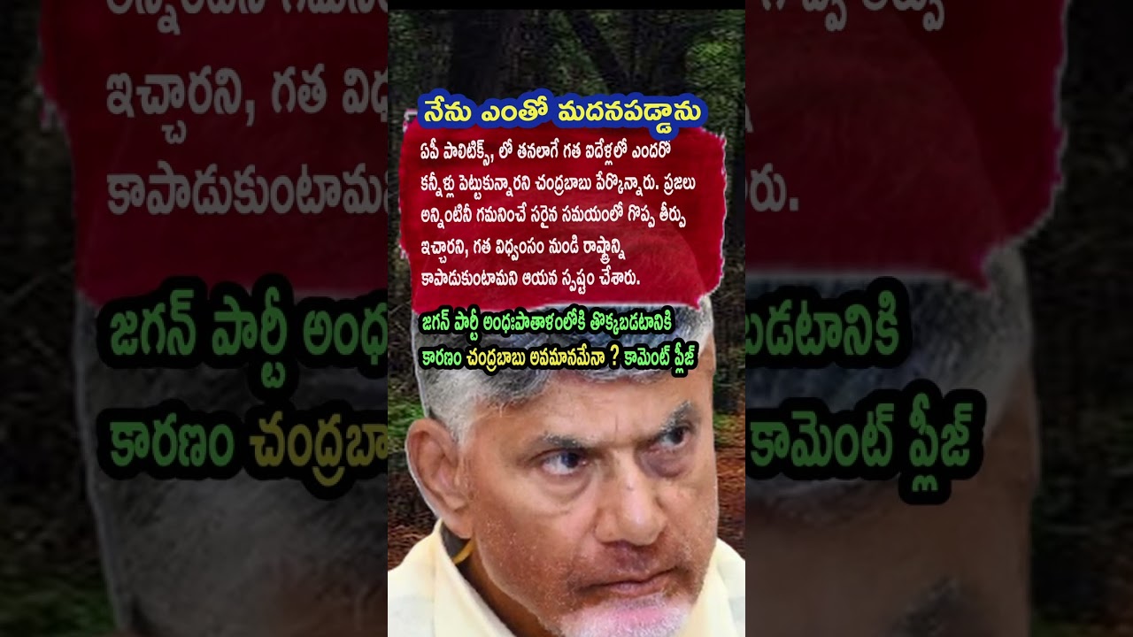 Ap Politics, N Chandrababu Naidu Reflects on Five-Year Struggle 🔥