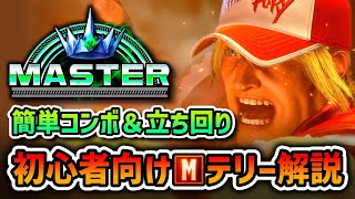 モダンテリーの立ち回り｜ドライブゲージの回復と中攻撃の距離まで近づく2つの方法