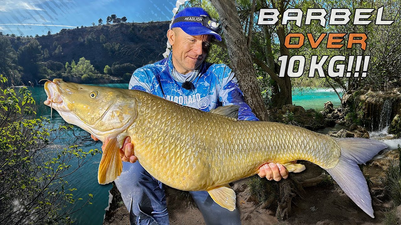 Döme Gábor - Márna 10 kg felett!!!