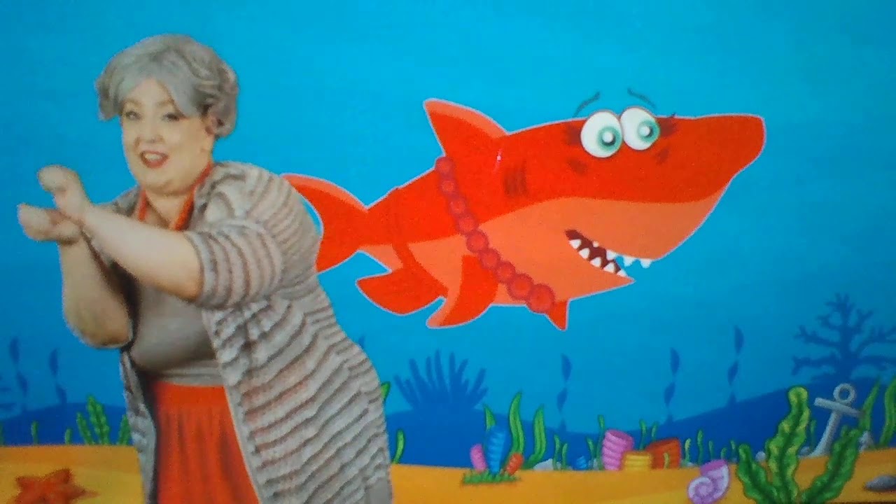 Wild Animals in the Water with Miss Jaycilyn (Plainville) YouTube