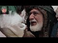 مسلسل المختار الثقفي الامام الحسن ماصاب حضر الى الكوفة