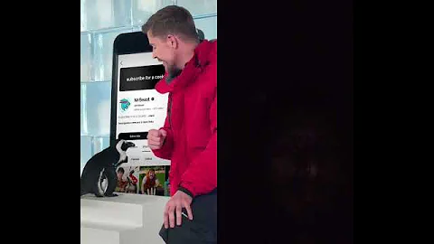 #helpmemakethismakesense #automobile #penguin #funny #challenge #edit #tech