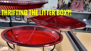 Thrifting at The Litter Box | Weirdest Thrift Store Name Ever… I Loved It