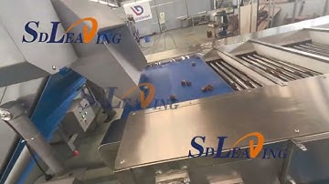 Palm dates clean dry grading pitting processing machine line