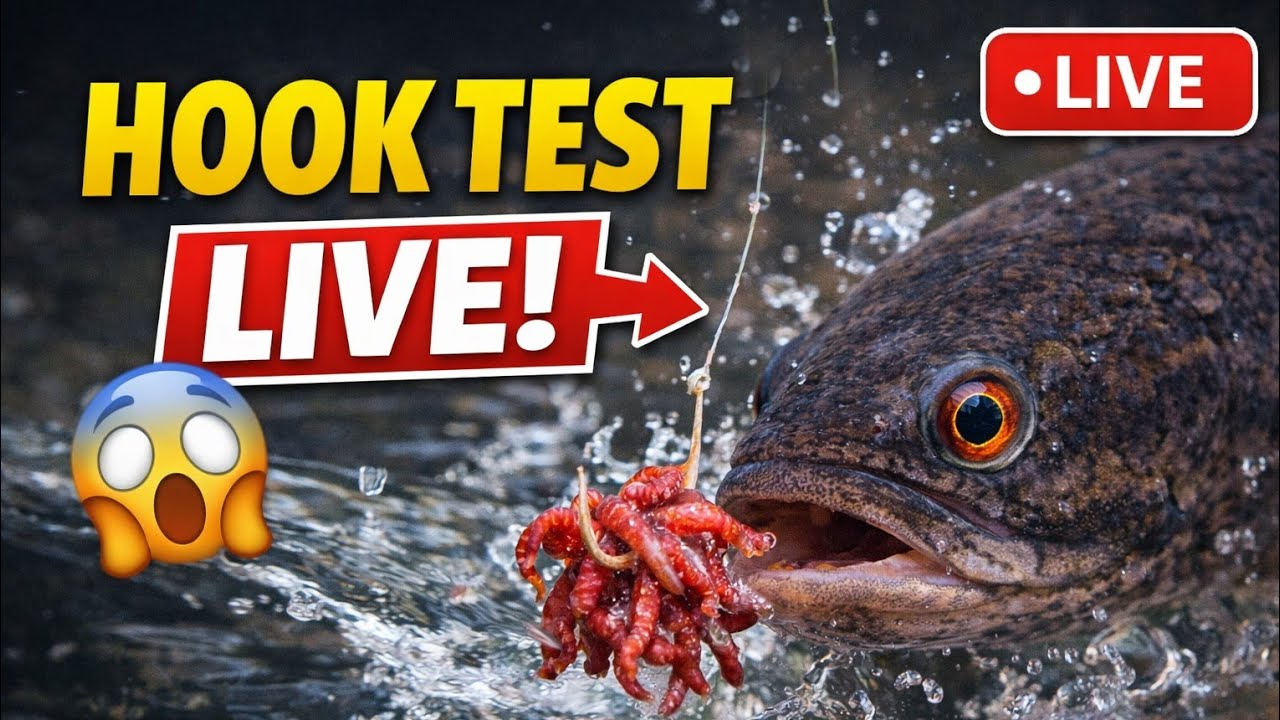 LIVE Fishing Experiment 🐟 Bullseye Snakehead Hook Test (No Hook Used!)