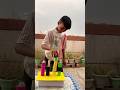 Colour stack challenge! #shortsvideo #colorchallenge #funchallenge #kidsgame