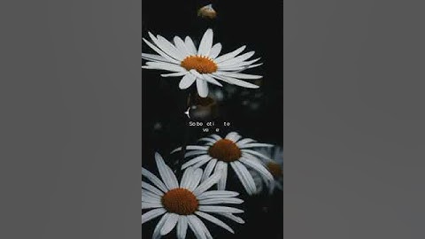 أستمع للقرآن الكريم #القران #راحة_نفسية #تلاوة_خاشعة #قران