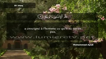 Sourate Al-Alaq | Mohamed Ayoub (96) سورة العلق | محمد أيوب