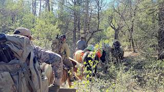 2025 late rifle elk hunt. One More Ridge !