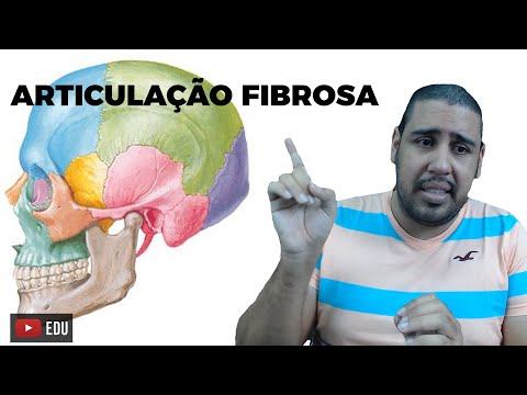 Articulações: Articulação Fibrosa