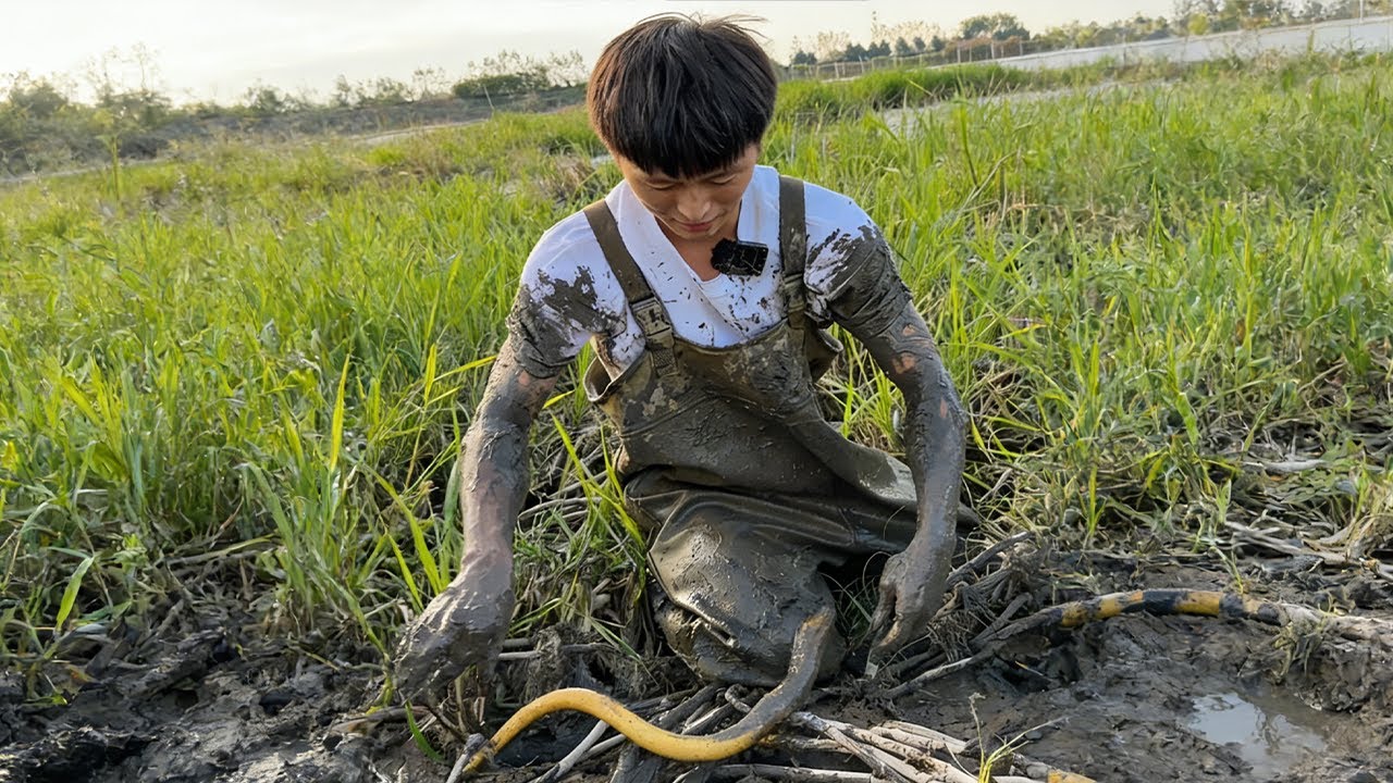 砍價到1000塊拿下這塊塘，會不會給我帶來更大的驚喜呢？#大熱門 #fishing