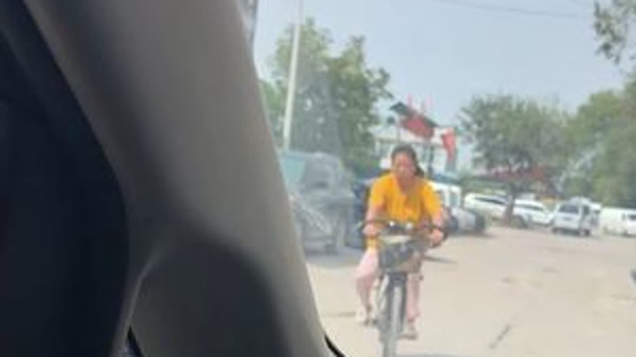 今天要给路虎选学校去，结果碰到桂桃婆婆带着路虎去狗市啦！ 想着路虎上学肯定要哭，结果他还挺高兴，暂时定这吧！看看路虎啥情况吧！你们觉得他能习惯不！