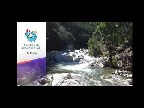 대구 MBC LD 2025 05 24