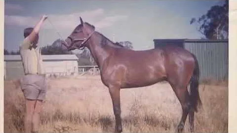 Raymond Lyle White   A Good Life