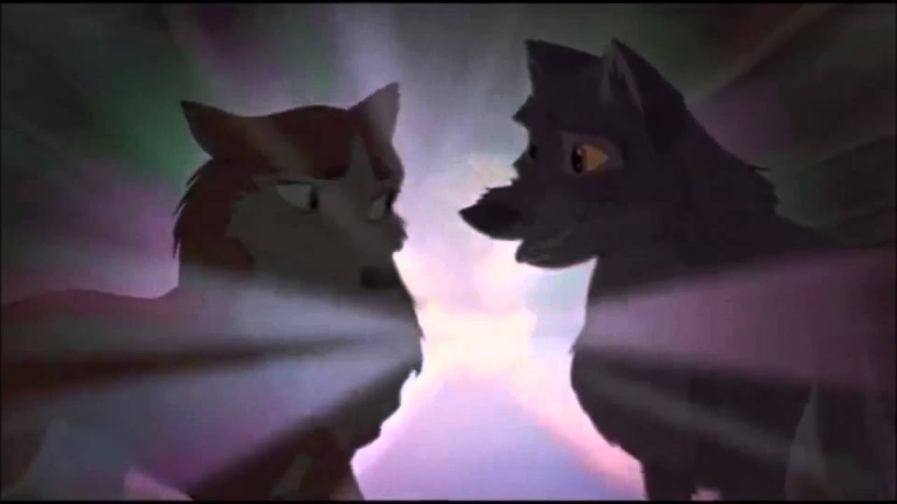 Animash-Larger Than Life