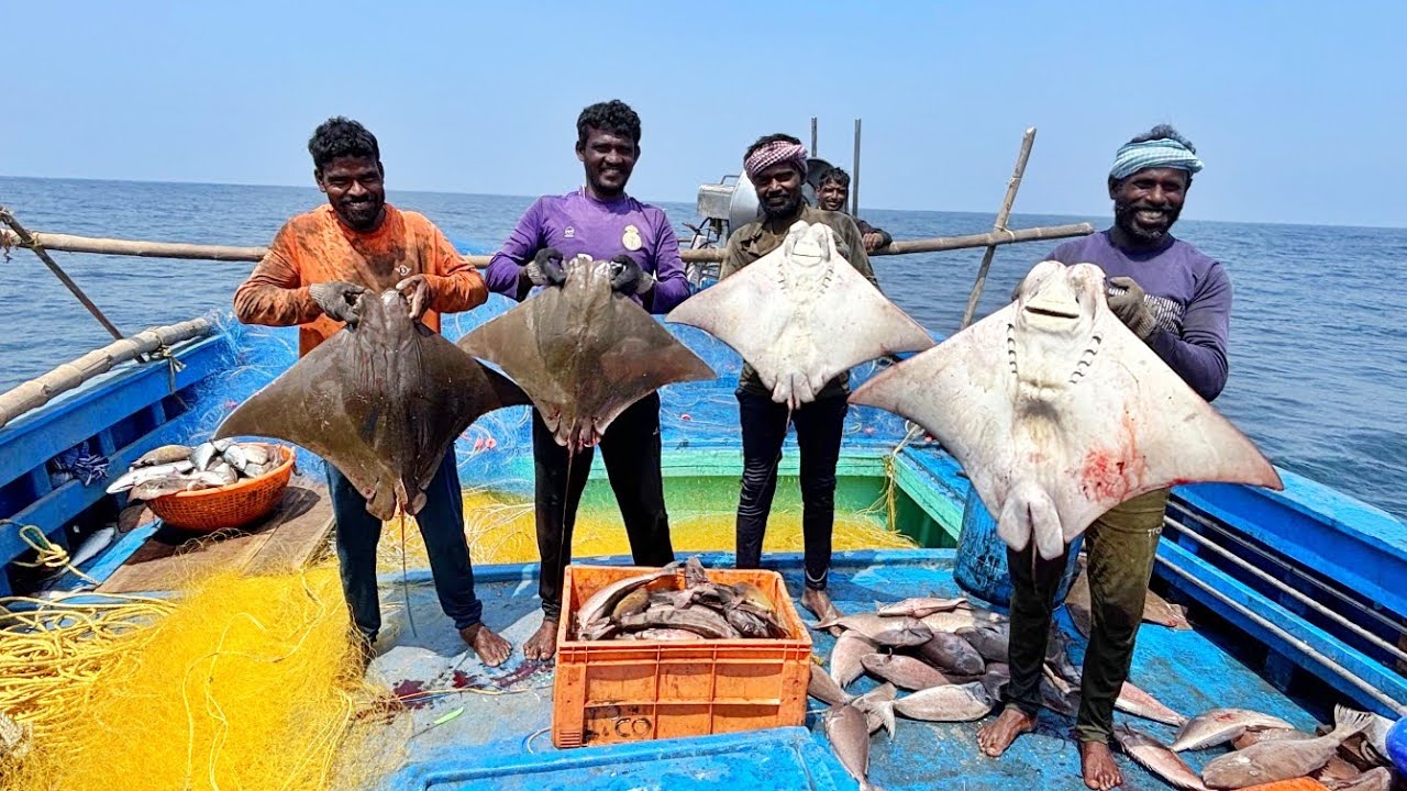 Ohh❗FIRST DAY 💢 LUCKY DAY 🤩 WE CAUGHT LOT OF STINGRAY FISHS & DIAMOND TREVALLY FISHS 