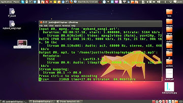 Extract audio from a video file in ubuntu linux Using FFMPEG