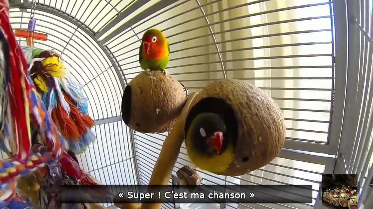 HaHa TV FAIL Compilation may 2015! Жесткие приколы#22