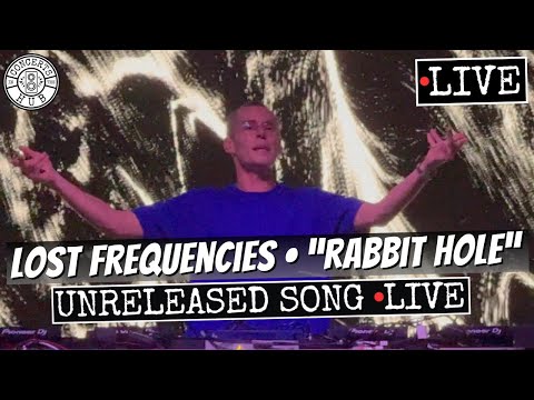 Lost Frequencies "Rabbit Hole" New/Unreleased Song LIVE