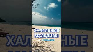ХАЛЯЛЬНЫЕ МАЛЬДИВЫ. ЛУЧШЕЕ МЕСТО ОТДЫХА ДЛЯ МУСУЛЬМАН.                      Instagram - @maldyvski